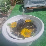 Aurora Ecorural Kır Evi