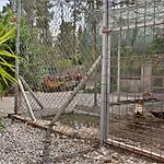 Venkovský dům Aurora Ecorural Icod De Los Vinos